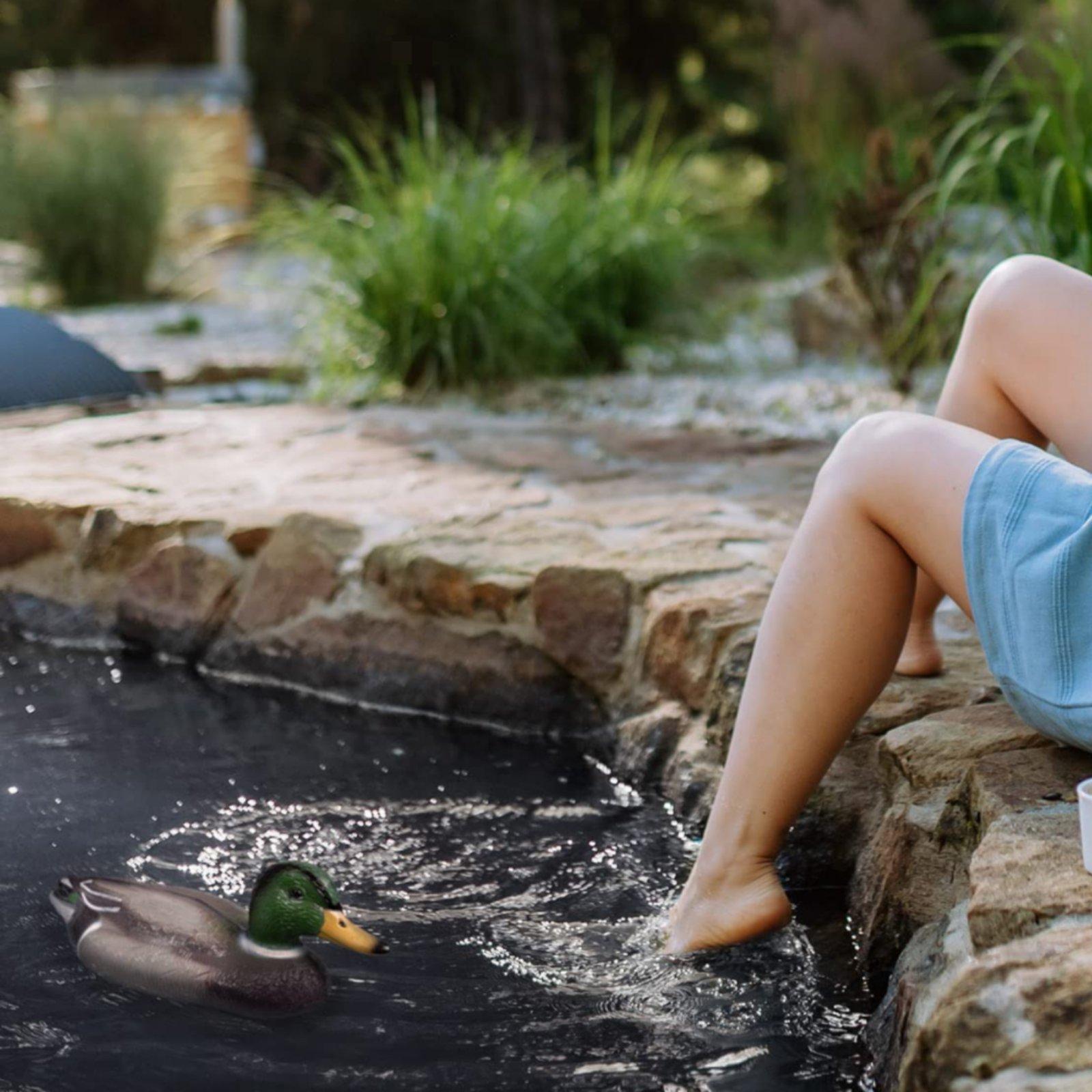 Floating Duck Decoy Realistic  - Hunting & Outdoor Supplies Carterton Reviews review and price