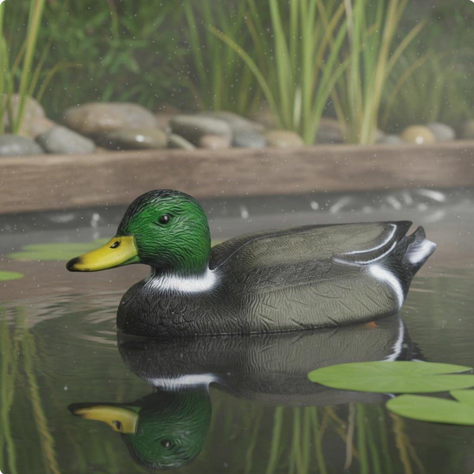 Floating Duck Decoy Realistic  - Hunting & Outdoor Supplies Carterton Reviews review and price