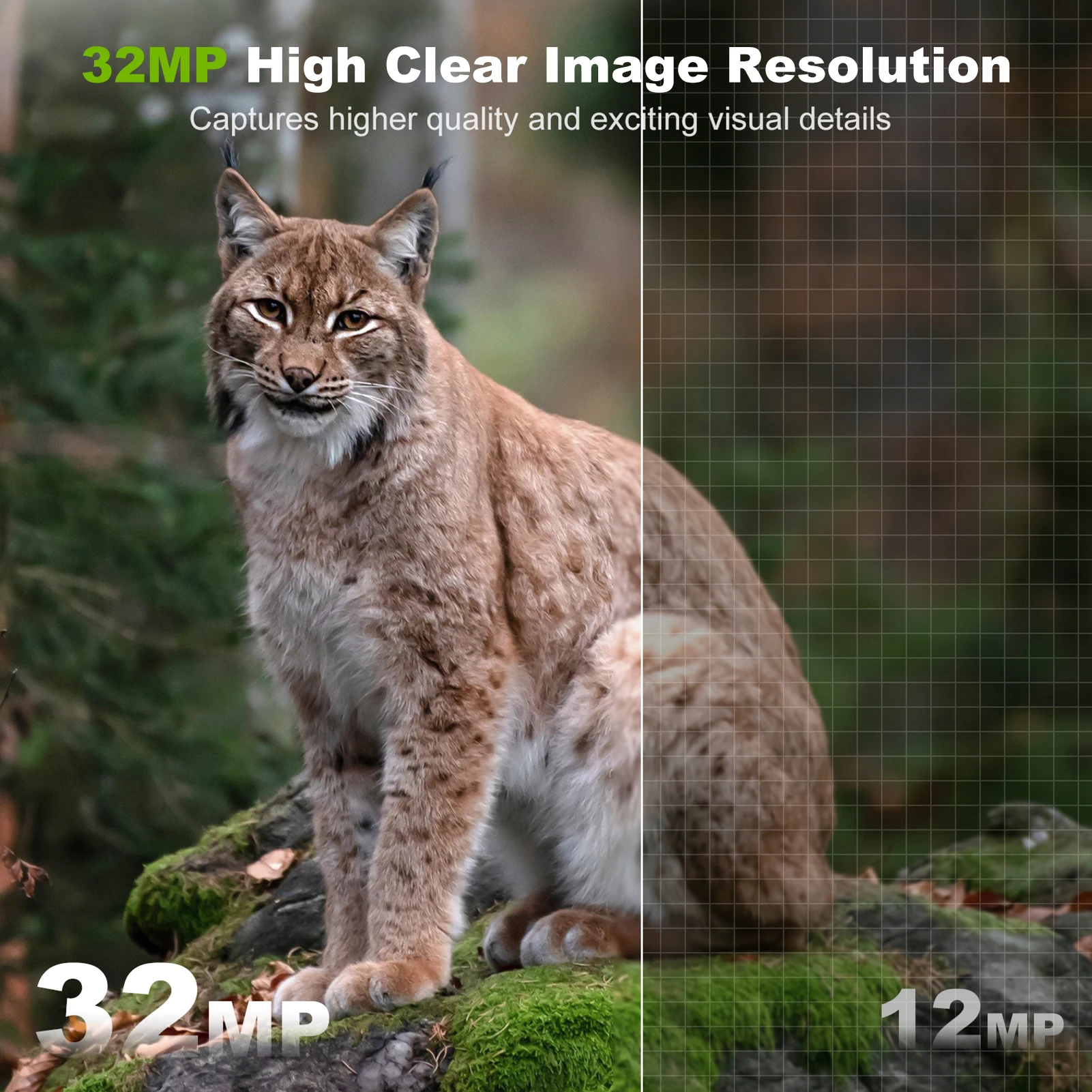 Solar Camera Outdoor Wireless  - Outdoor Hunting Camera Wireless review and price